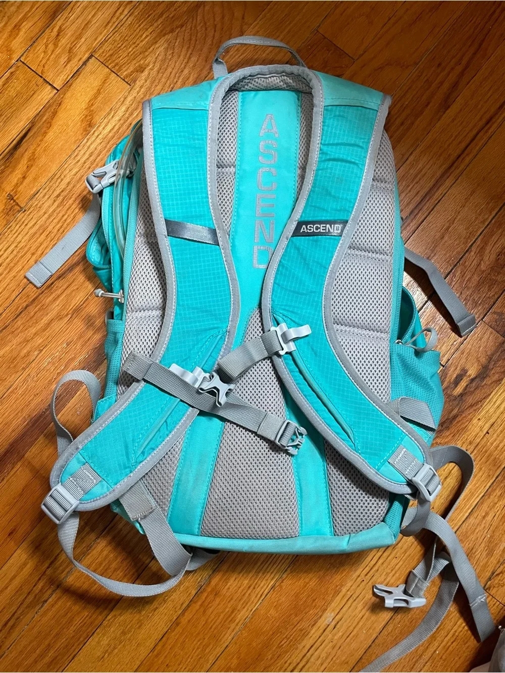 Ascend curve women’s